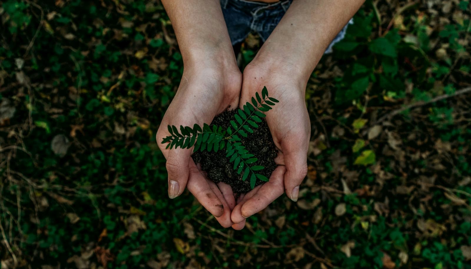 Sustainable IT: Green Computing Initiatives | TechOS blog